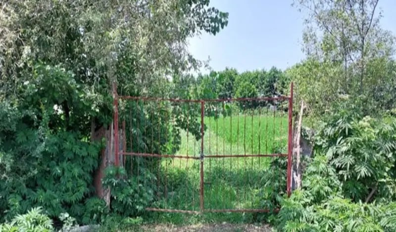 تصویر پروژه ۱۱