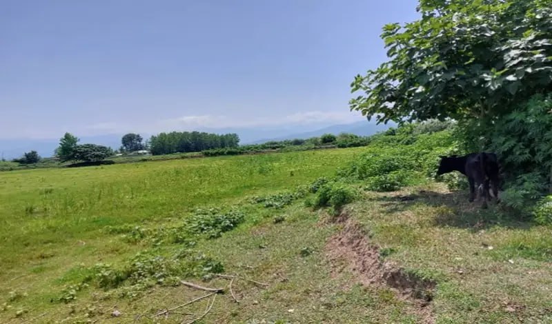 تصویر پروژه ۷